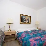 Palme Apartament *
